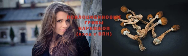 индика Алексеевка