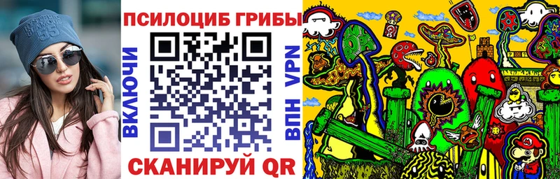 блэк спрут зеркало  Харовск  Галлюциногенные грибы Cubensis 